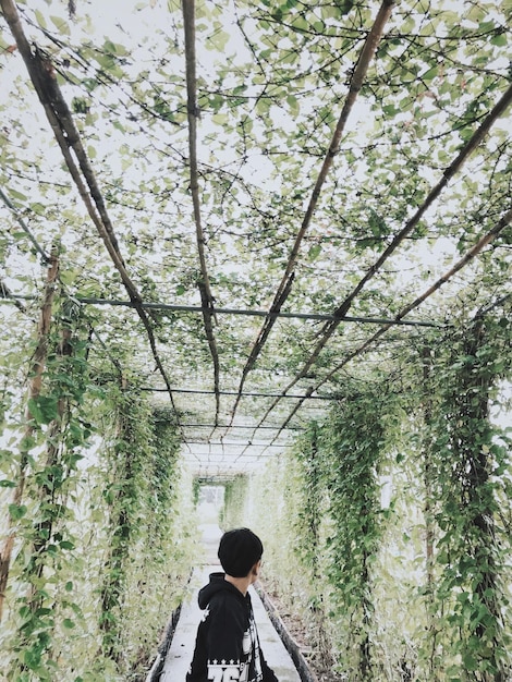 Foto vista posteriore di un uomo che cammina nella foresta