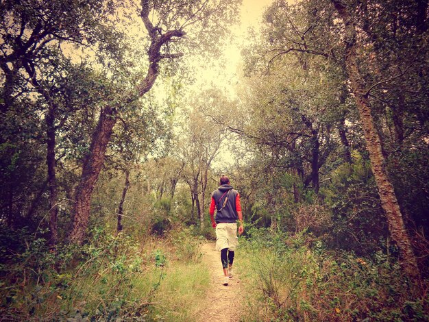 Photo rear view of man walking in forest