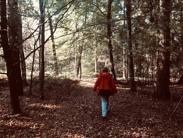 Photo rear view of man walking in forest