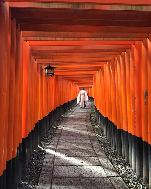 Foto vista posteriore di un uomo che cammina al santuario di inari