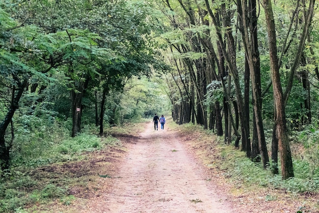 Rear view of a man walking on road in forest