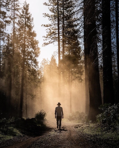 Foto vista posteriore di un uomo che cammina sulla strada nella foresta