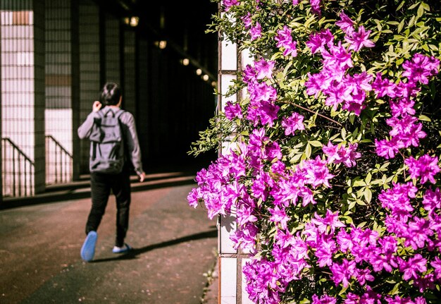 Foto vista posteriore di un uomo che cammina sulla metropolitana con fiori di rododendro rosa