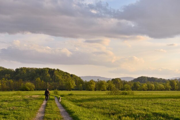 Rear view of man walking with dog on agricultural field against sky during sunset
