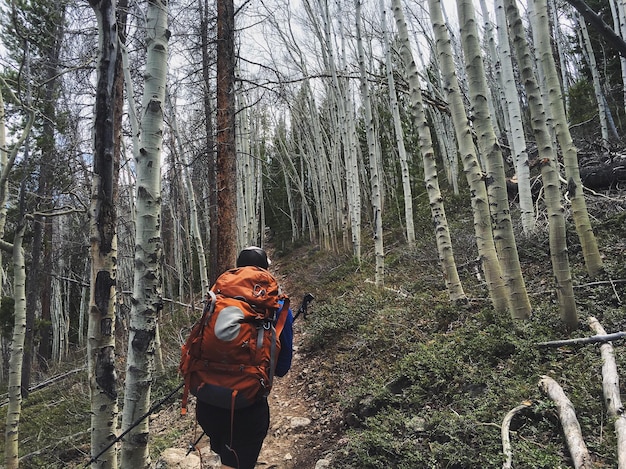 Foto vista posteriore di un uomo con uno zaino che fa escursioni in mezzo agli alberi nudi della foresta