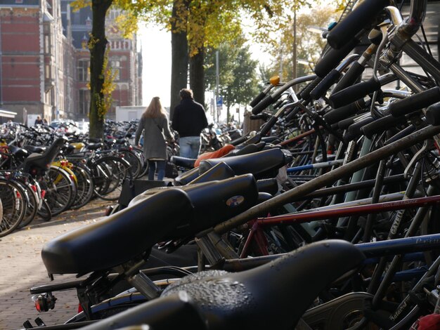 Rear view of man and woman walking by parked bicycle