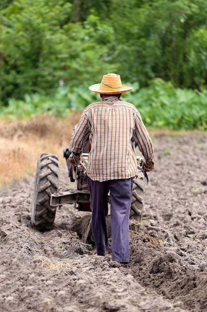 rear view of man working at agricultural field