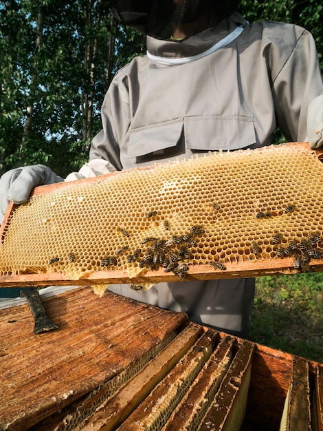 Foto vista posteriore di un uomo che lavora in una fattoria