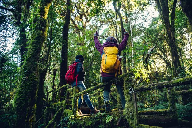 Foto vista posteriore degli uomini nella foresta