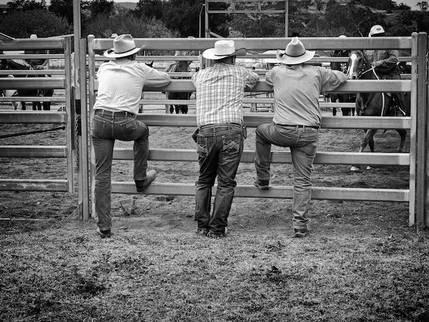 Photo rear view of men leaning on ranch