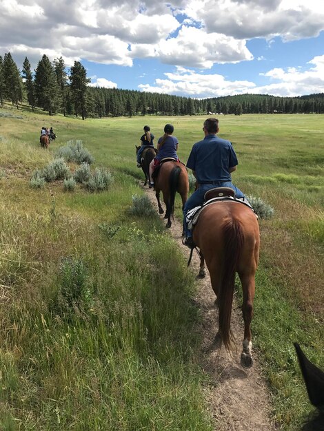 Rear view of men riding horse on field against sky