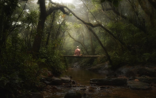 Foto vista posteriore di un uomo adulto seduto su un ponte pedonale sul ruscello nella foresta