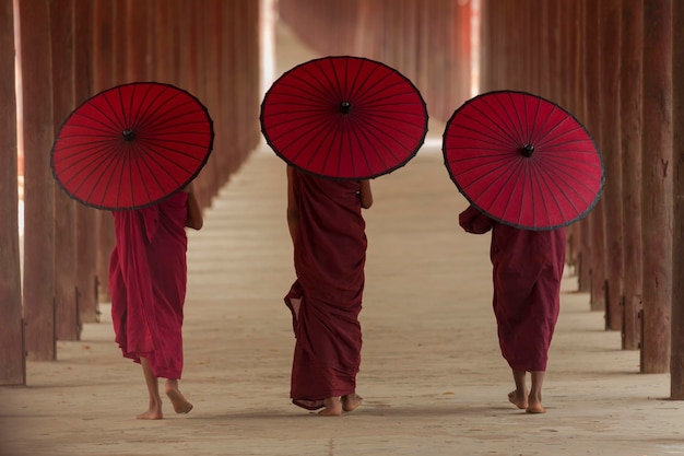 Photo rear view of monks walking with umbrella in colonnade