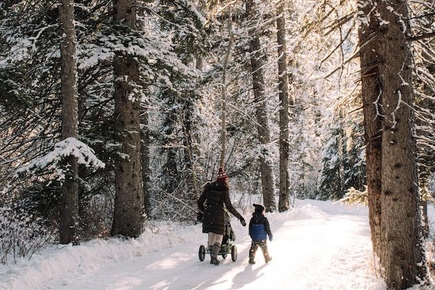 겨울 에 숲 에 있는 어머니 와 딸 의 뒷면
