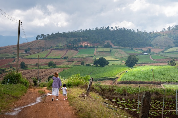 Foto vista posteriore della madre che tiene la mano delle sue piccole figlie camminando sul campo chiang mai thailandia