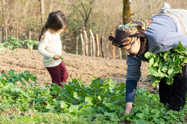 写真 男性と女性の後ろの景色