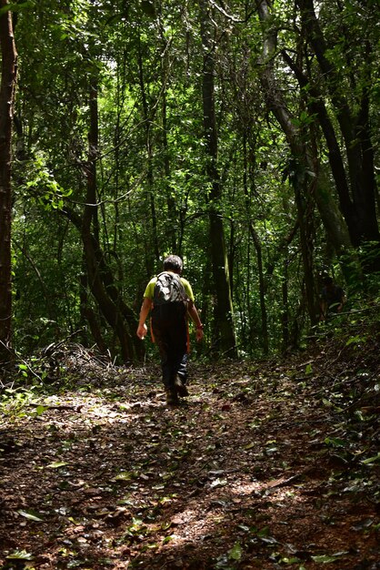 写真 森を歩く少年を後ろから眺める