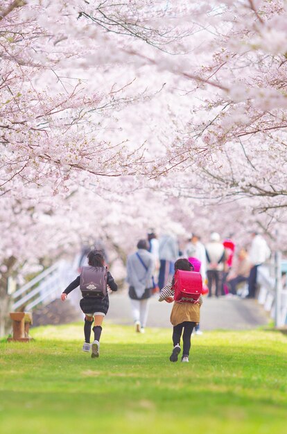 写真 公園で歩いている子供たちの後ろの景色