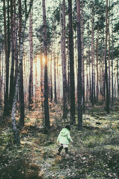 写真 森を歩く女の子の後ろの景色