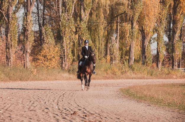 写真 馬に乗る後ろの景色