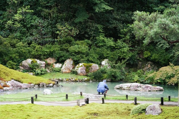 写真 日本の庭園の池の近くの男の後ろの景色