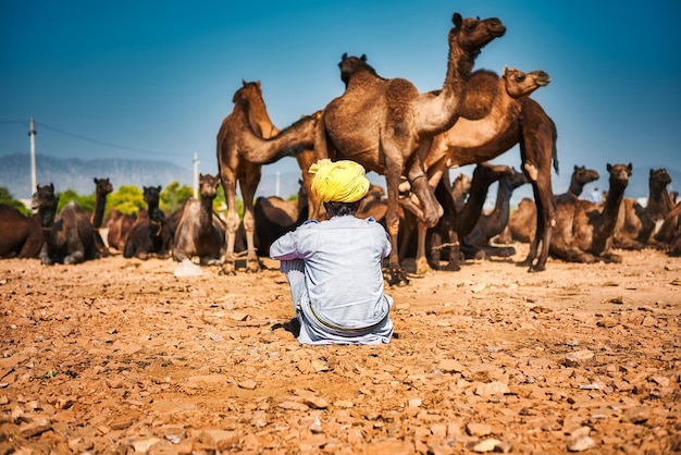 Фото Задний вид человека, сидящего на верблюдах в пустыне