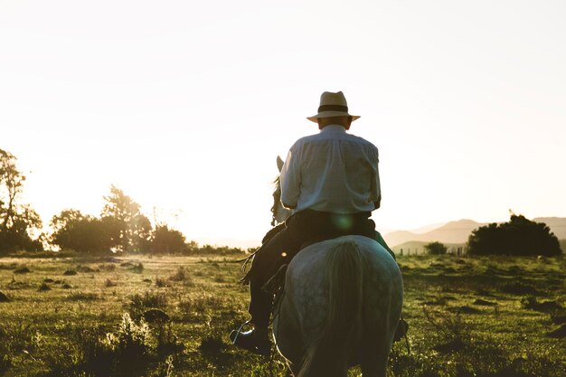 写真 空に照らされた野原の上に馬に乗って座っている男の後ろの景色