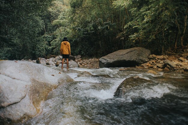 사진 숲 에 있는 강  의 바위 위 에 서 있는 사람 의 뒷면
