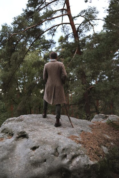 Фото Задний вид человека, стоящего на скале в лесу
