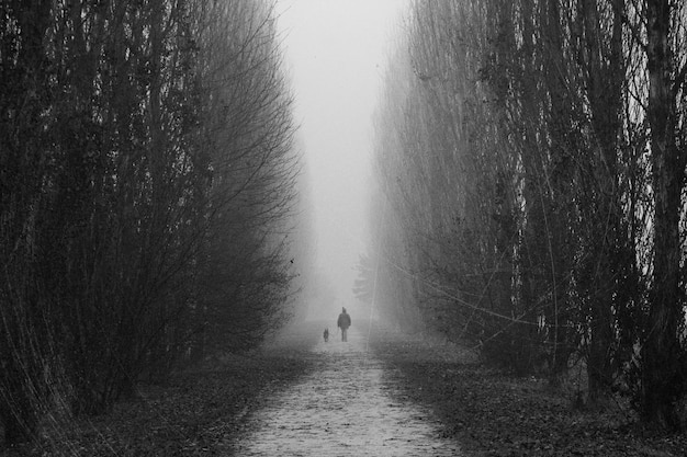 写真 冬の裸の木の間で犬と歩いている男の後ろの景色