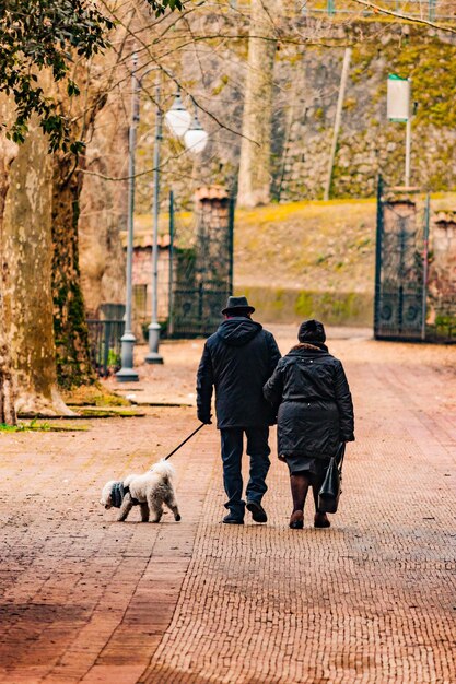 写真 犬を連れて歩いている男性の後ろの景色