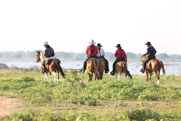 写真 野原で馬に乗っている人々の後ろの景色