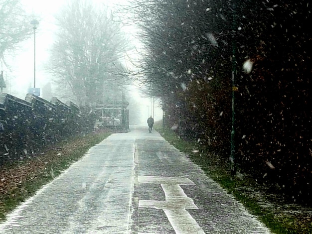 写真 降雪中の歩道を歩いている人の後ろの景色
