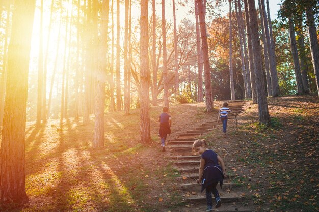 写真 公園で歩いている兄弟姉妹の後ろの景色