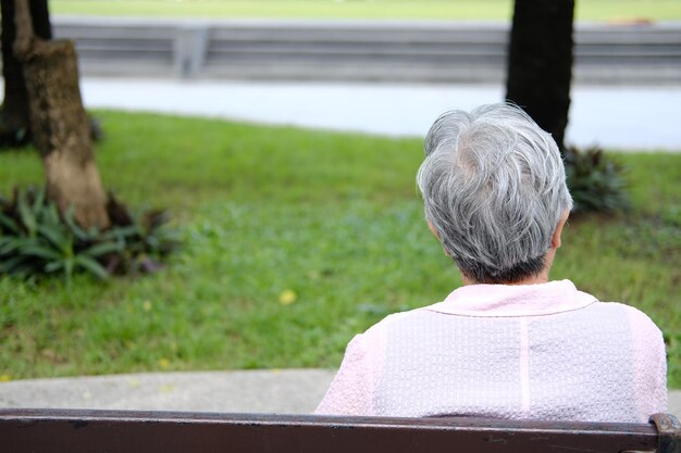 사진 공원 을 바라보는 여자 의 뒷면