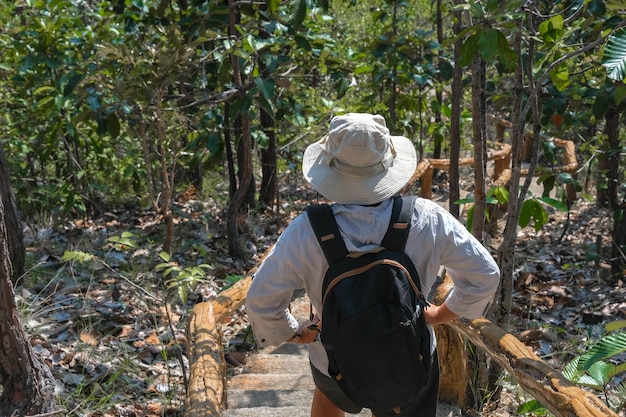 写真 森に立っている女性の後ろの景色