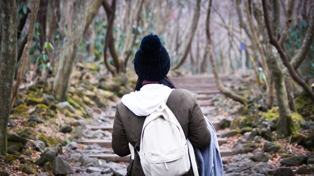 写真 森に立っている女性の後ろの景色