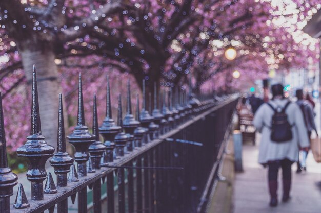 写真 樹木のレールで歩いている女性の後ろの景色