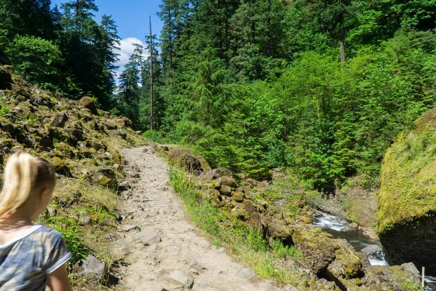 写真 森の歩道を歩く女性の後ろの景色