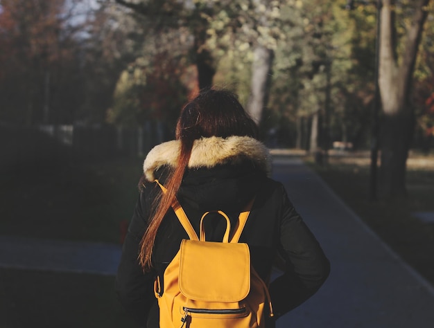 写真 歩道を歩く女性の後ろの景色