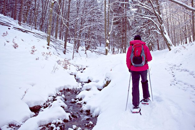 写真 雪で覆われた土地を歩く女性の後ろの景色