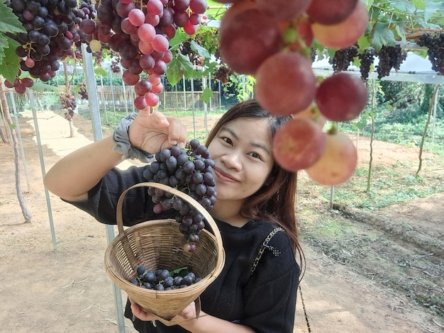 写真 帽子をかぶった女性の後ろの景色