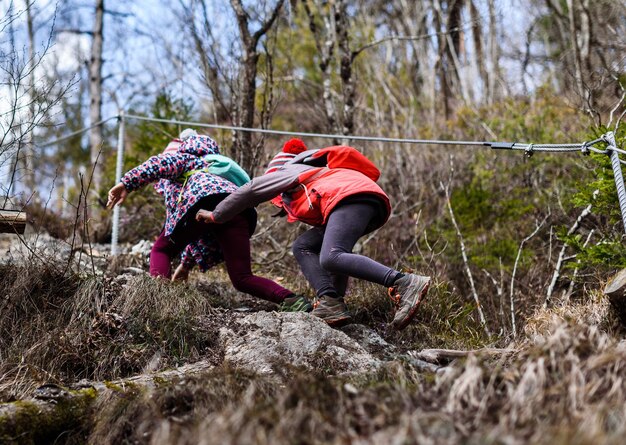 Foto vista posteriore di persone nella foresta