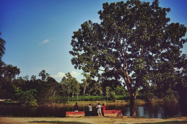 फोटो rear view of people overlooking calm lake