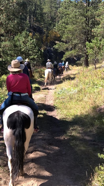 Foto vista posteriore di persone a cavallo nella foresta