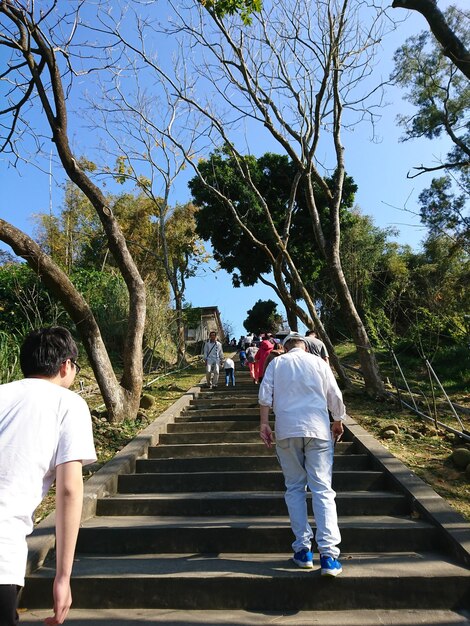 Rear view of people on steps amidst trees against clear sky