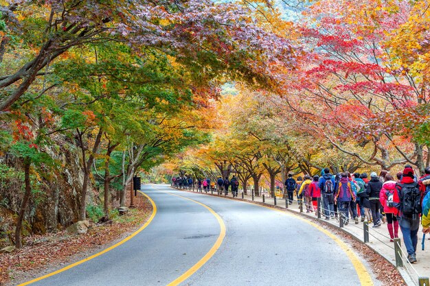 Photo rear view of people walking by trees on sidewalk during autumn