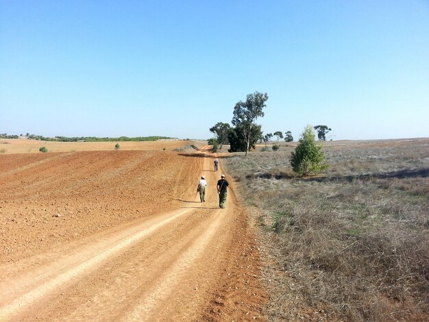Rear view of people walking on dirt road against clear blue sky