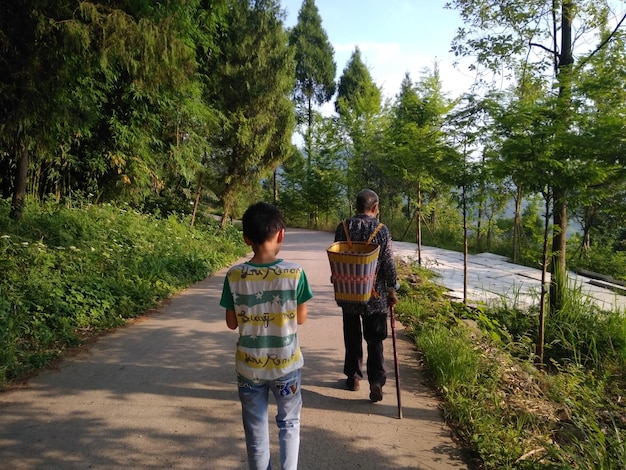 樹木の中の歩道を歩く人々の後ろの景色