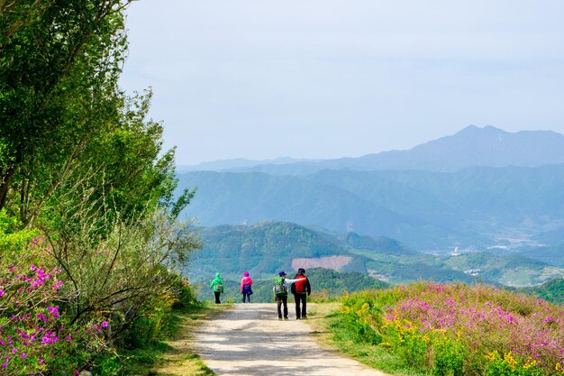 Rear view of people walking on footpath